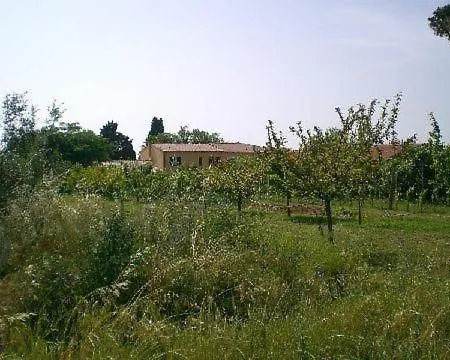 Daire Appartamento2
